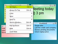 Set reminder alarms to sticky notes, change skins, color, transparency, make them password-protected