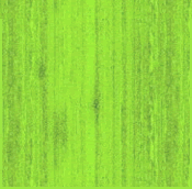 Sticky Note - Banana Leaf