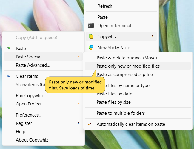 Screenshots of copying files in Windows using Copywhiz