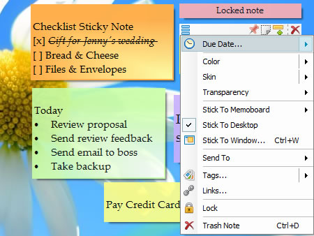 Sticky Notes (Options Menu)