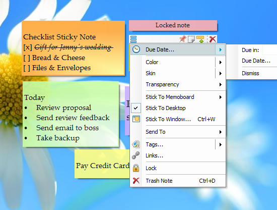 Sticky Note Options