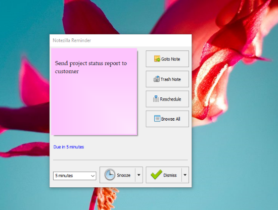 Screenshot_Sticky_Note_Reminder_Window